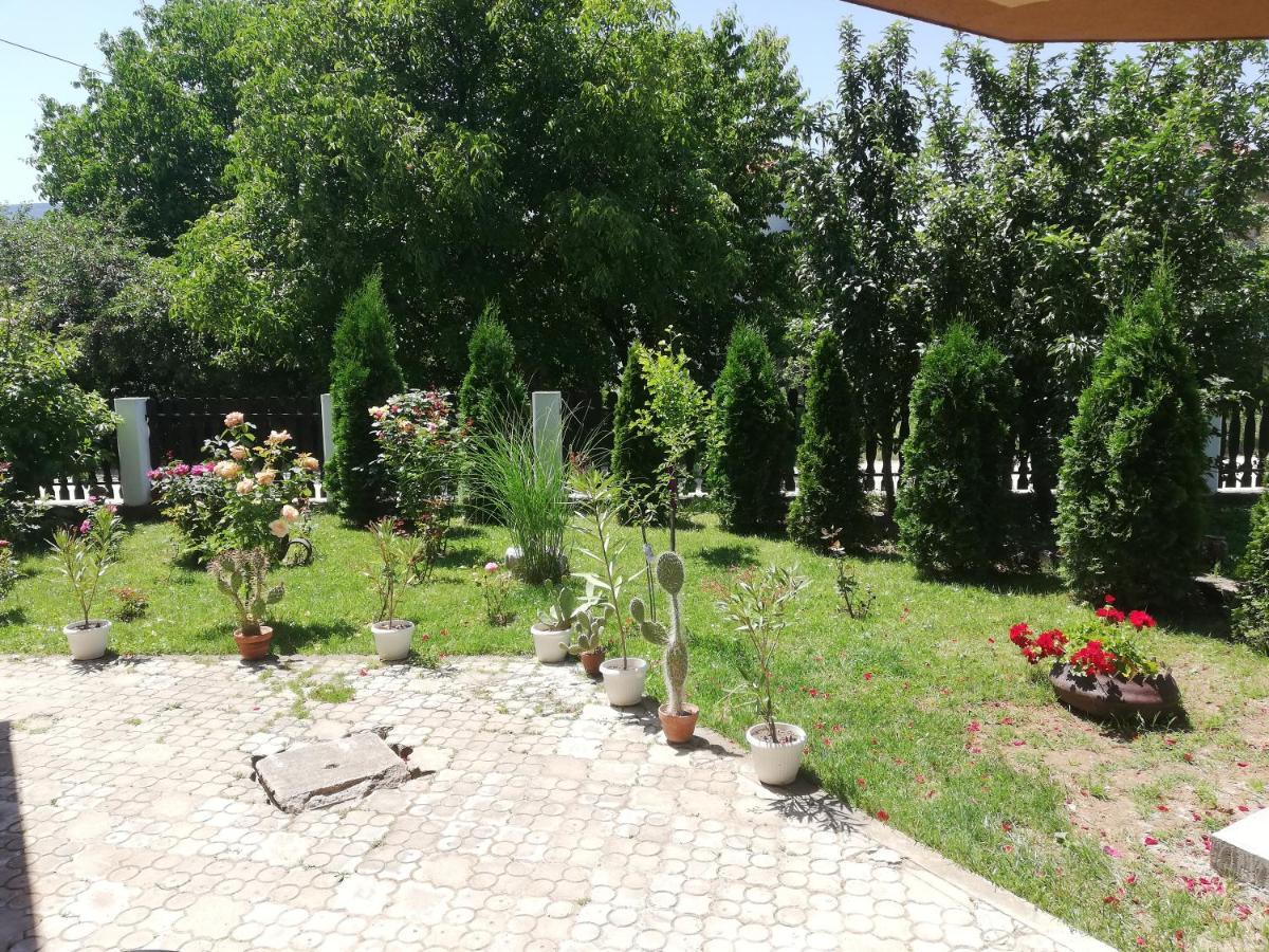 Apartmani Tvins Soko Banja Exterior photo